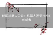 韩国机器人公司：机器人视觉技术的创新者