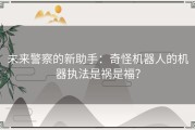 未来警察的新助手：奇怪机器人的机器执法是祸是福？