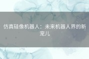 仿真硅像机器人：未来机器人界的新宠儿