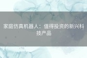 家庭仿真机器人：值得投资的新兴科技产品