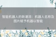 智能机器人的新潮流：机器人名称及图片赋予机器以智能