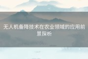 无人机备降技术在农业领域的应用前景探析