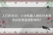 人们的关切：小冰机器人被砍对未来的AI应用造成影响吗？