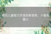 探究儿童智力开发的新契机：小氪机器人