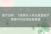 医疗创新：飞鱼群无人机在紧急医疗救援中的应用前景展望