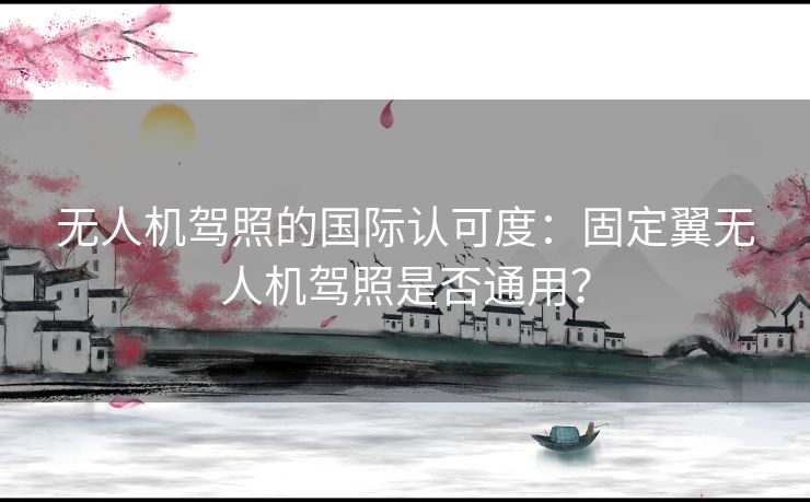 无人机驾照的国际认可度：固定翼无人机驾照是否通用？