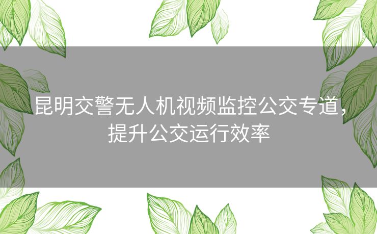 昆明交警无人机视频监控公交专道，提升公交运行效率