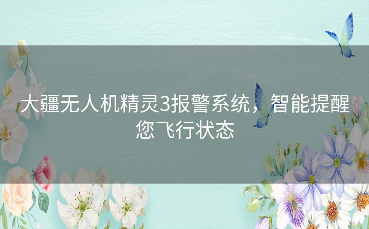 大疆无人机精灵3报警系统，智能提醒您飞行状态