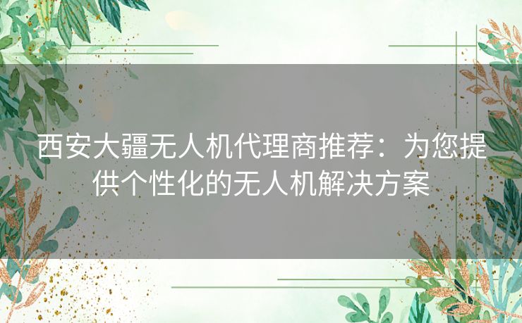 西安大疆无人机代理商推荐：为您提供个性化的无人机解决方案