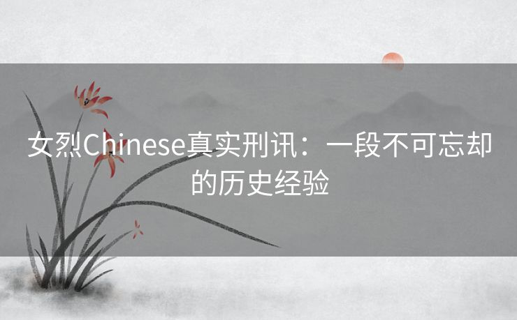 女烈Chinese真实刑讯：一段不可忘却的历史经验