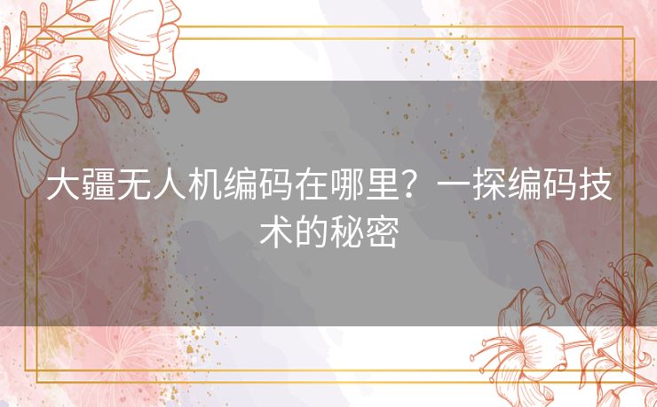 大疆无人机编码在哪里？一探编码技术的秘密