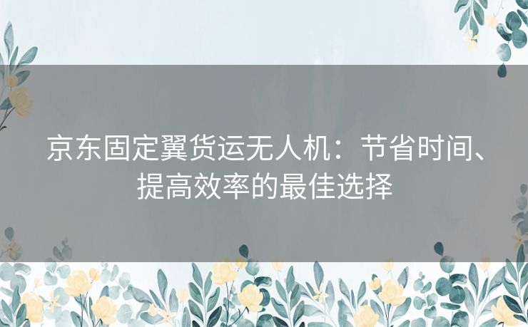 京东固定翼货运无人机：节省时间、提高效率的最佳选择