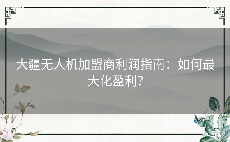 大疆无人机加盟商利润指南：如何最大化盈利？