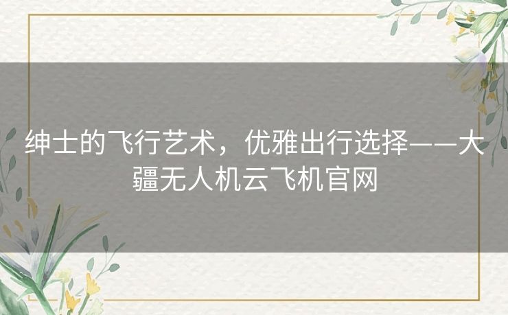 绅士的飞行艺术，优雅出行选择——大疆无人机云飞机官网