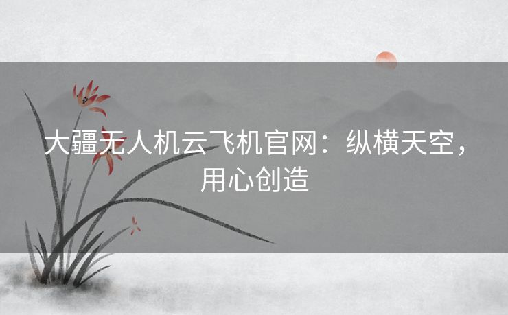 大疆无人机云飞机官网：纵横天空，用心创造