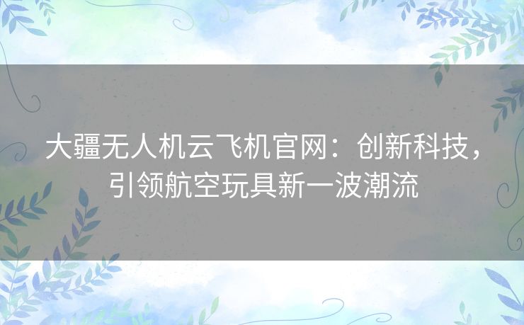 大疆无人机云飞机官网：创新科技，引领航空玩具新一波潮流