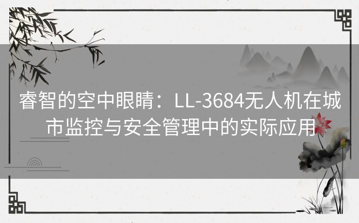 睿智的空中眼睛：LL-3684无人机在城市监控与安全管理中的实际应用