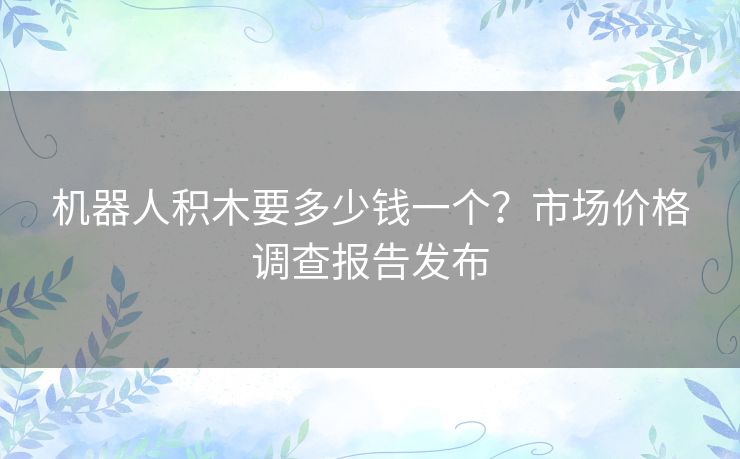 机器人积木要多少钱一个？市场价格调查报告发布