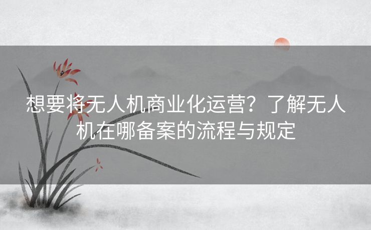 想要将无人机商业化运营？了解无人机在哪备案的流程与规定