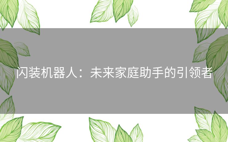 闪装机器人：未来家庭助手的引领者