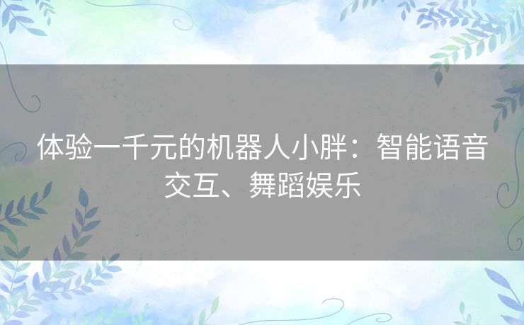 体验一千元的机器人小胖：智能语音交互、舞蹈娱乐