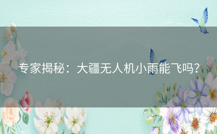 专家揭秘：大疆无人机小雨能飞吗？