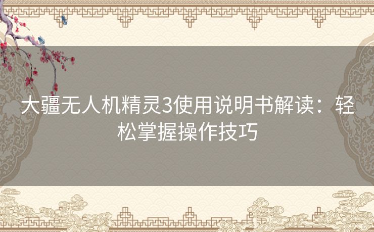 大疆无人机精灵3使用说明书解读：轻松掌握操作技巧