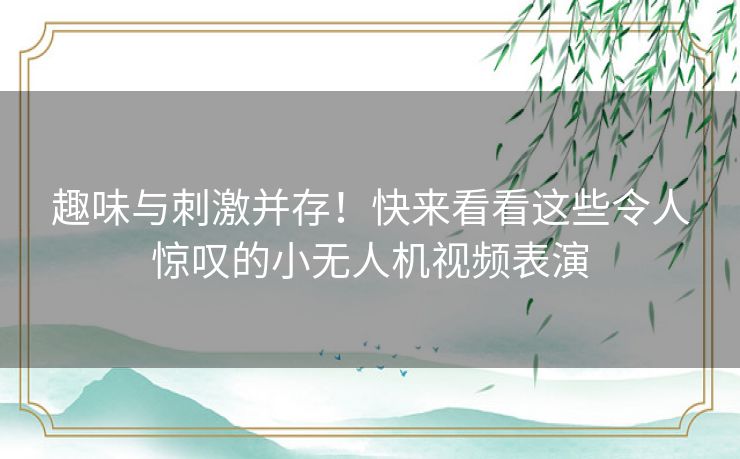 趣味与刺激并存！快来看看这些令人惊叹的小无人机视频表演