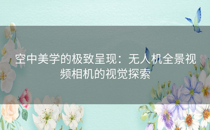 空中美学的极致呈现：无人机全景视频相机的视觉探索