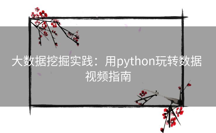 大数据挖掘实践：用python玩转数据 视频指南