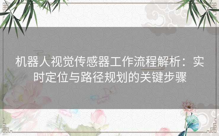 机器人视觉传感器工作流程解析：实时定位与路径规划的关键步骤