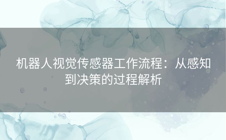 机器人视觉传感器工作流程：从感知到决策的过程解析