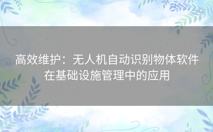 高效维护：无人机自动识别物体软件在基础设施管理中的应用