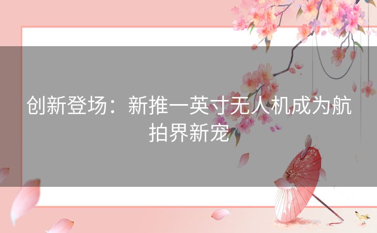 创新登场：新推一英寸无人机成为航拍界新宠