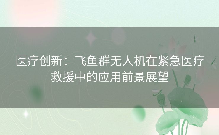 医疗创新：飞鱼群无人机在紧急医疗救援中的应用前景展望