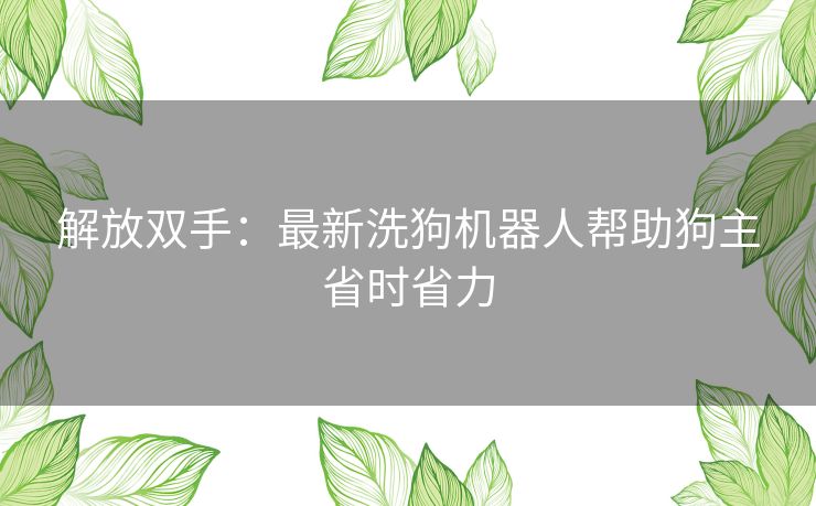 解放双手：最新洗狗机器人帮助狗主省时省力