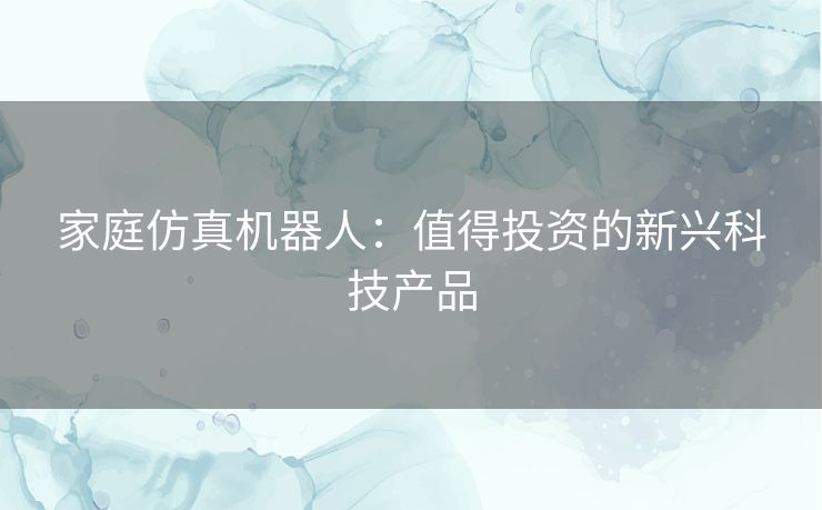 家庭仿真机器人：值得投资的新兴科技产品