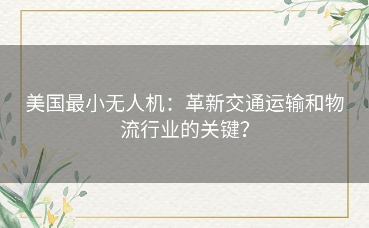 美国最小无人机：革新交通运输和物流行业的关键？