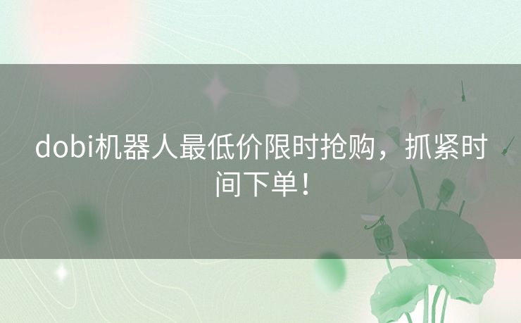 dobi机器人最低价限时抢购，抓紧时间下单！