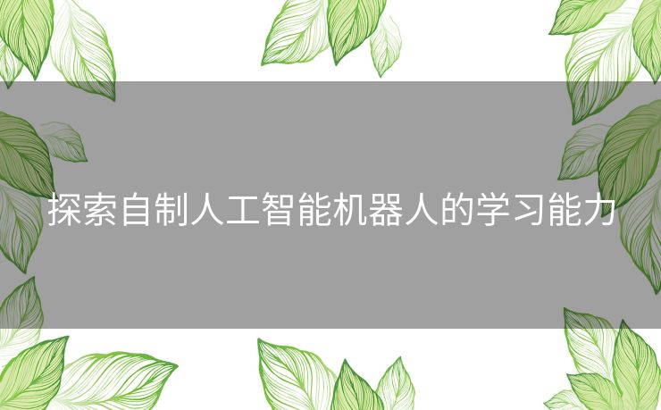 探索自制人工智能机器人的学习能力