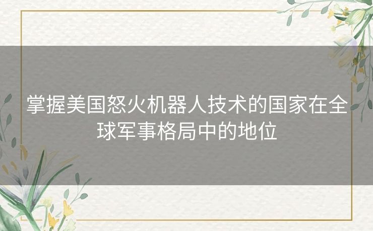 掌握美国怒火机器人技术的国家在全球军事格局中的地位