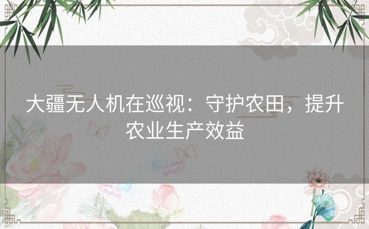 大疆无人机在巡视：守护农田，提升农业生产效益