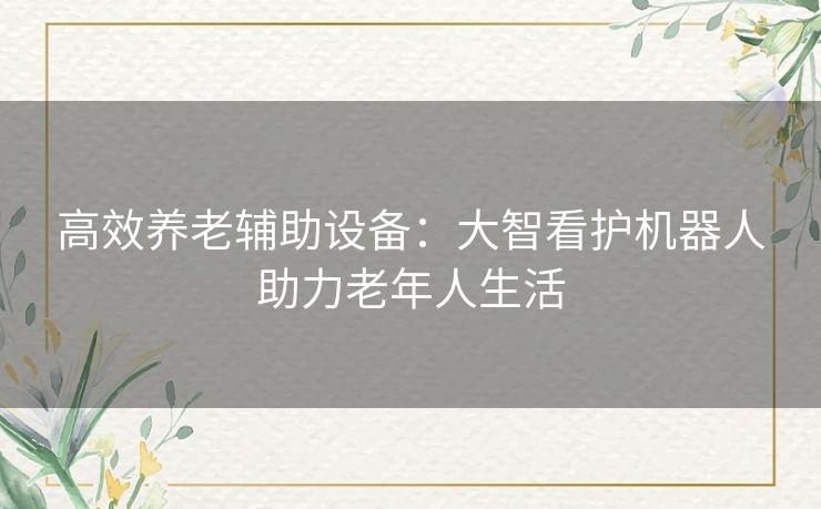 高效养老辅助设备：大智看护机器人助力老年人生活