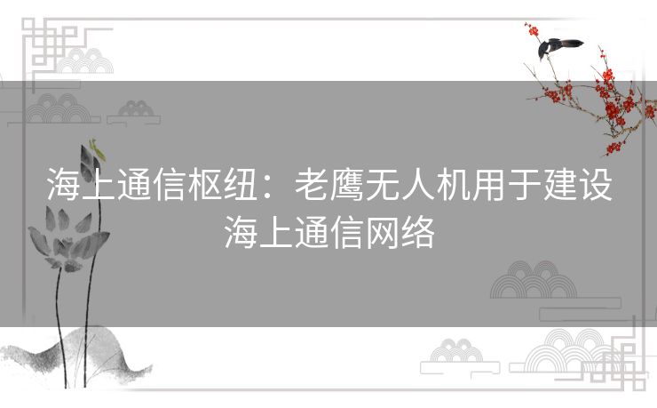 海上通信枢纽：老鹰无人机用于建设海上通信网络