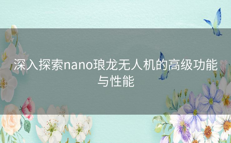 深入探索nano琅龙无人机的高级功能与性能