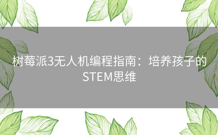 树莓派3无人机编程指南：培养孩子的STEM思维