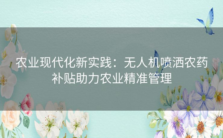 农业现代化新实践：无人机喷洒农药补贴助力农业精准管理