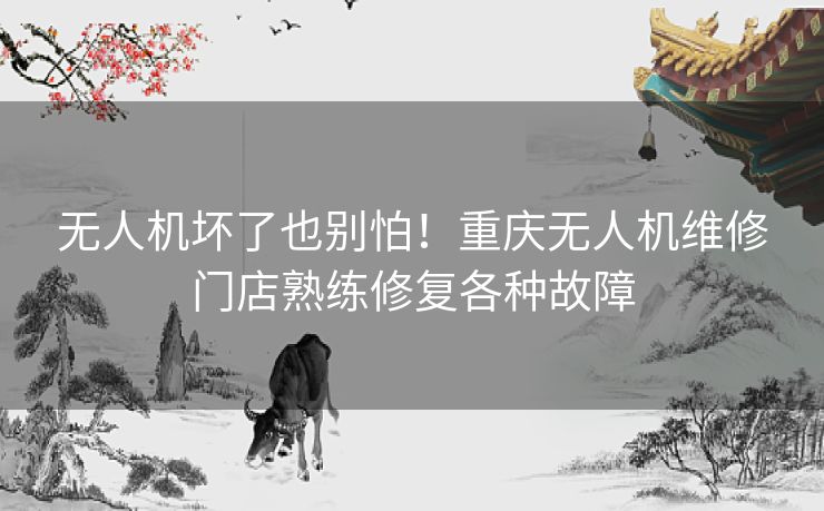 无人机坏了也别怕！重庆无人机维修门店熟练修复各种故障