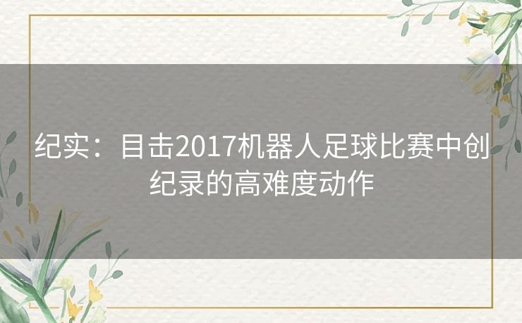 纪实：目击2017机器人足球比赛中创纪录的高难度动作