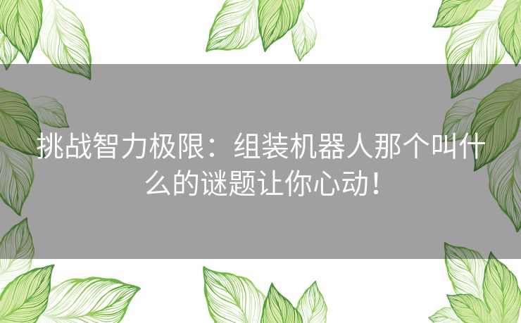 挑战智力极限：组装机器人那个叫什么的谜题让你心动！